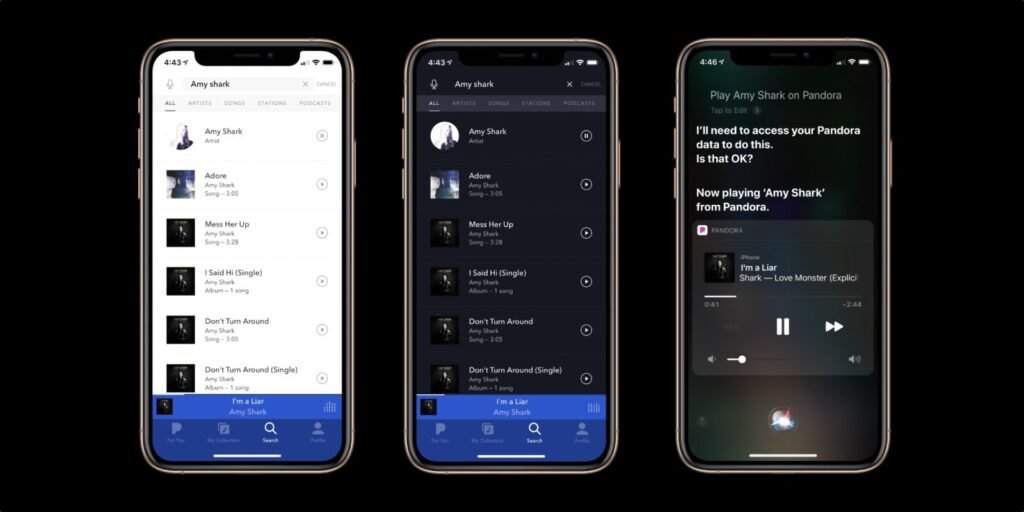 Pandora Radio APP